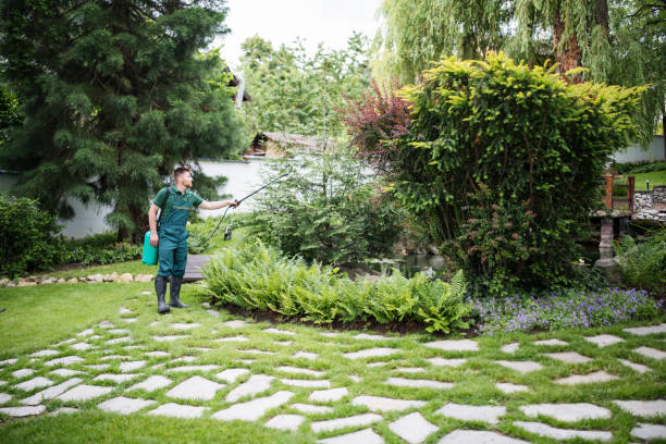 Best Lawn Watering Services  in USA